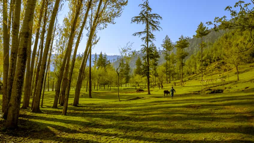 Lolab Valley, Kashmir