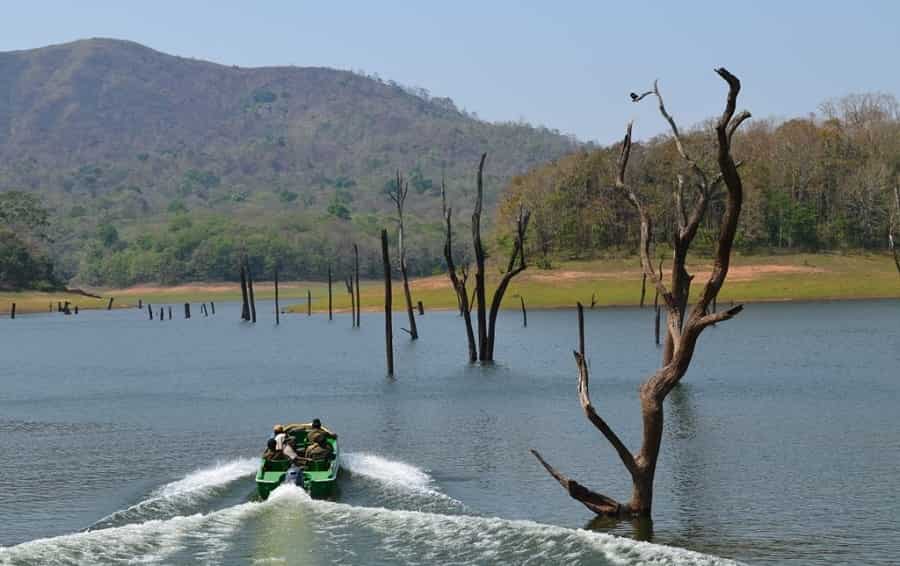 Periyar National Park, Kerala