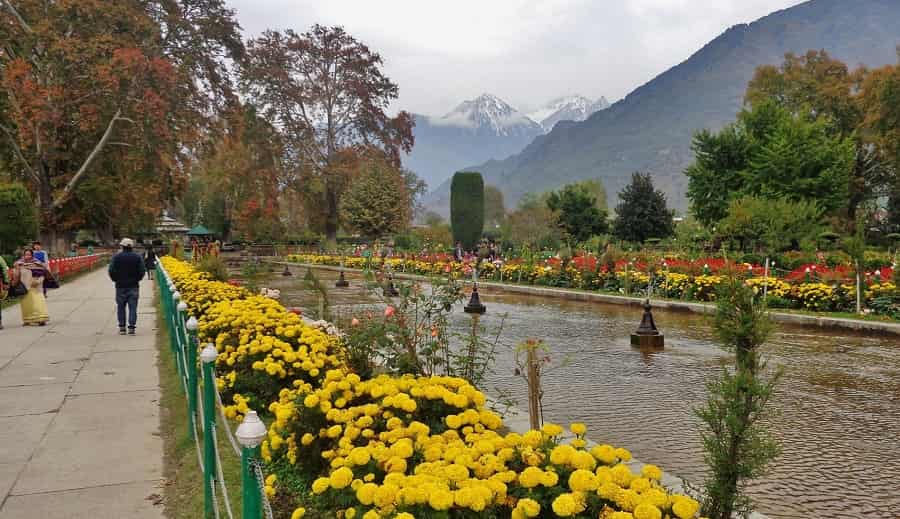 Shalimar Garden, Srinagar