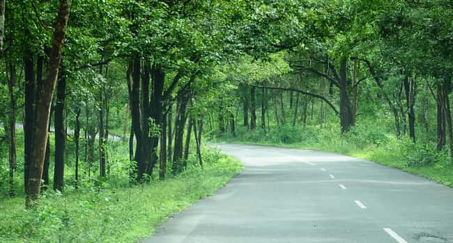 Bandipur Forest to Bangalore through NH766
