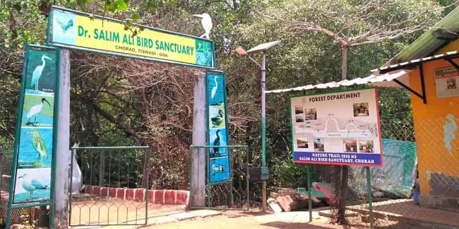 Dr Salim Ali Bird Sanctuary