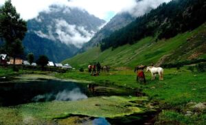 Best Time to Visit Sonmarg