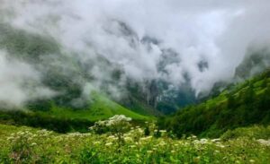 Best Time To Visit Valley Of Flowers
